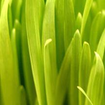 免费ddos在线攻击测试网站