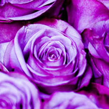 攻击网站的方法