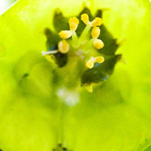 ddos攻击测试工具